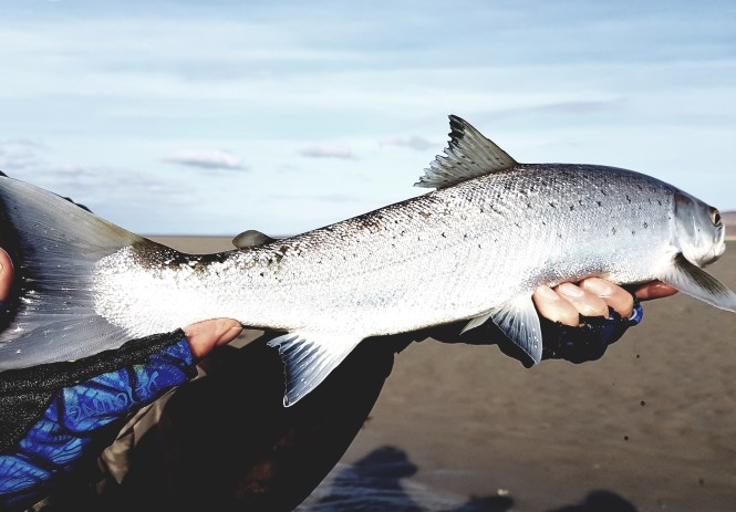 Islay Sea Trout Fishing