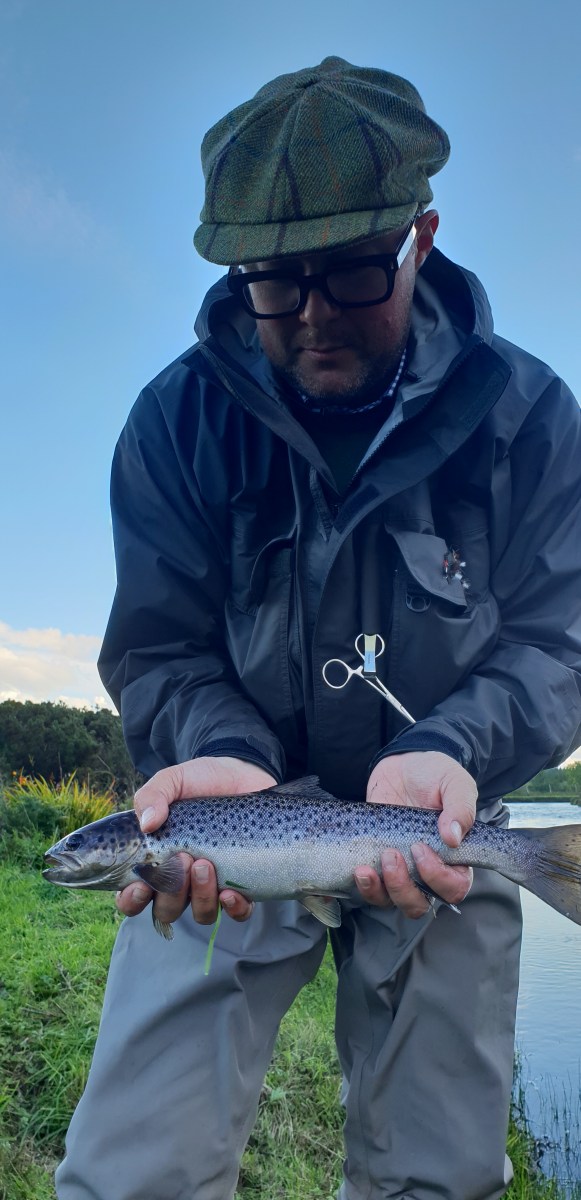 Islay sea trout